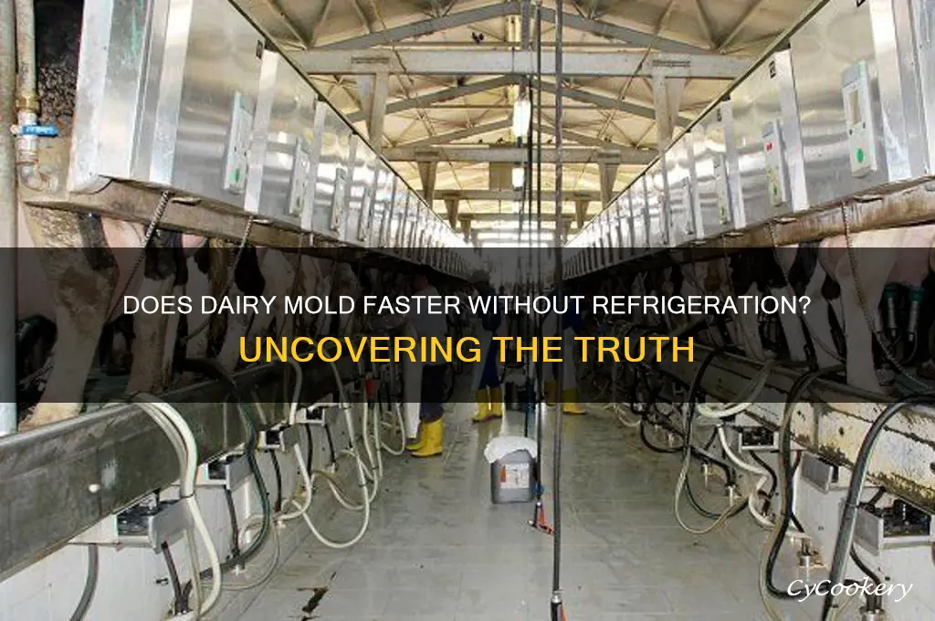does dairy mold faster if not refrigerated