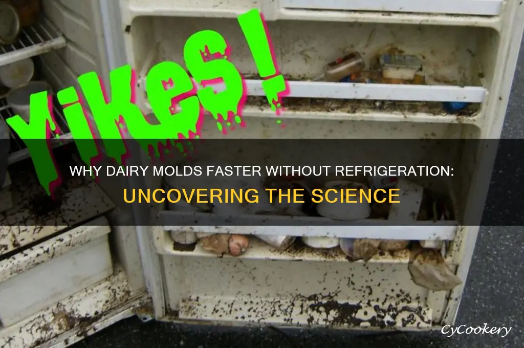 does dairy products mold faster if not refrigerated why