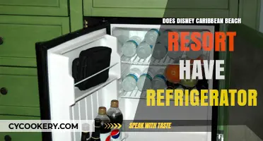 Disney Caribbean Beach Resort Amenities: Refrigerators Included?