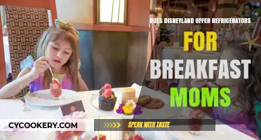 Disneyland Breakfast Moms: Refrigerator Options and Convenience Tips