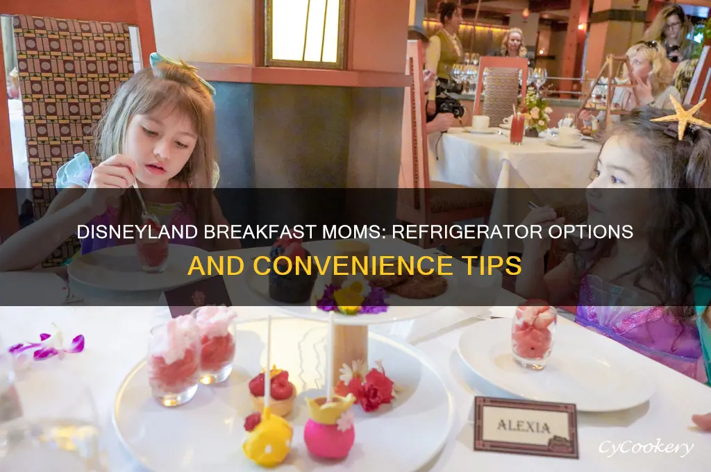 does disneyland offer refrigerators for breakfast moms