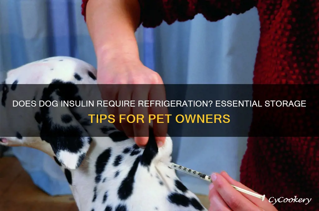 does dog insulin have to be refrigerated