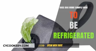 Should Dog Urine Samples Be Refrigerated? Essential Storage Tips
