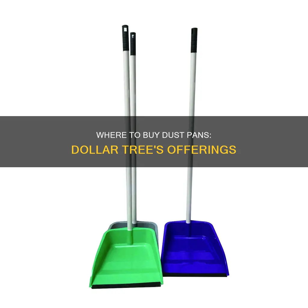 does dollar tree sell dust pans