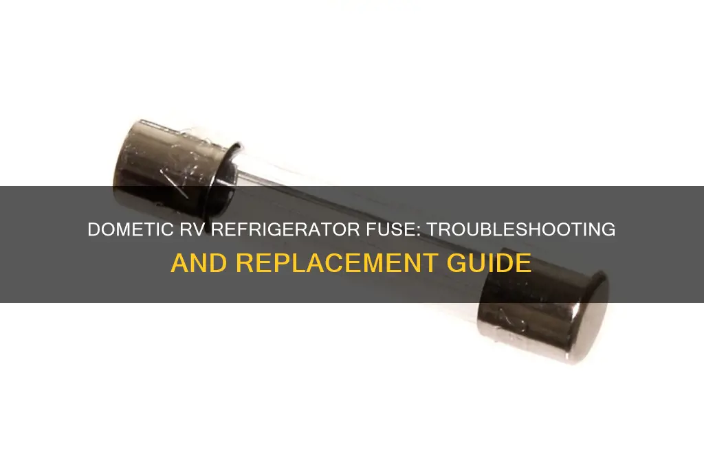 does dometic rv refrigerator have another fuse