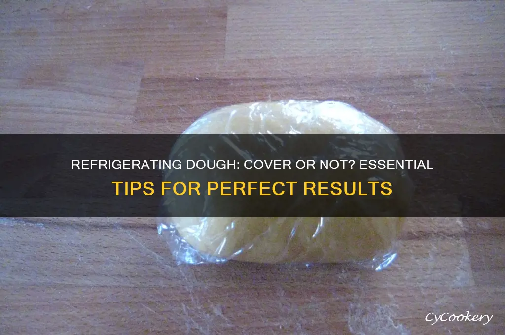 does dough have to be covered in the refrigerator