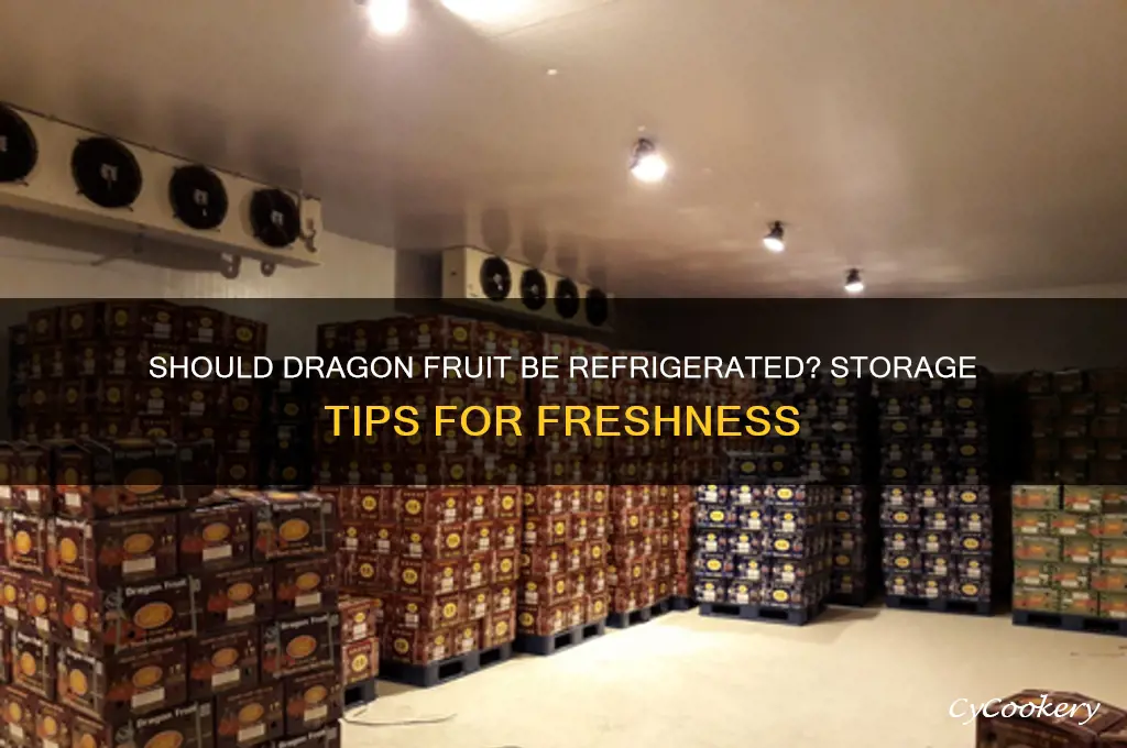 does dragon fruit have to be refrigerated