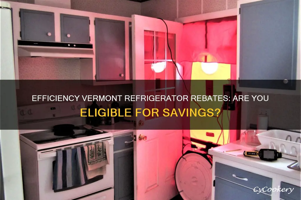 does efficiency vermont give rebates for refrigerators