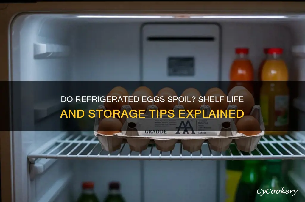 does eggs go bad in the refrigerator