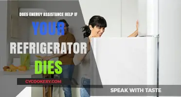 Energy Assistance: A Lifeline When Your Refrigerator Suddenly Dies?