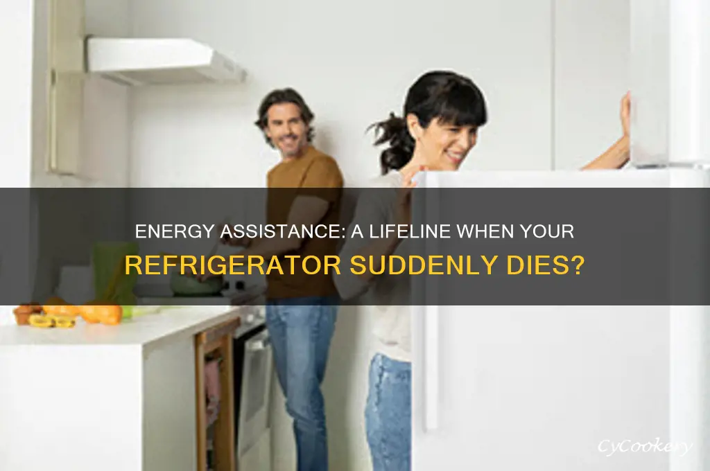 does energy assistance help if your refrigerator dies