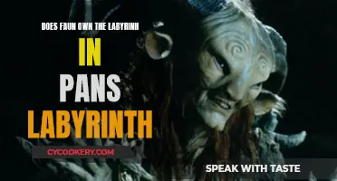 Who Owns the Labyrinth in Pan's Labyrinth?