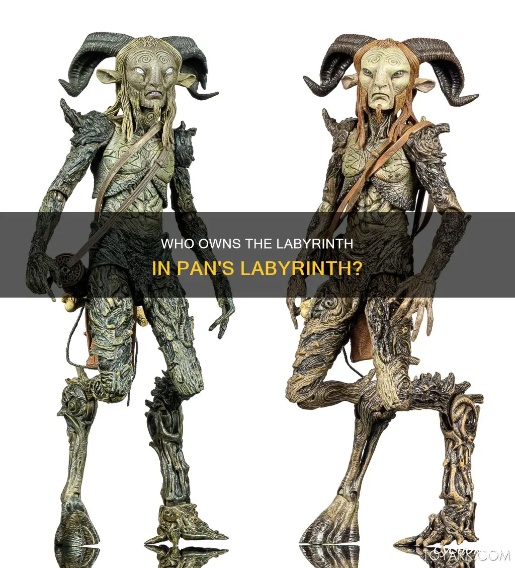 does faun own the labyrinh in pans labyrinth