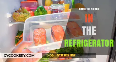 How Long Does Fish Last in the Fridge? Freshness Guide