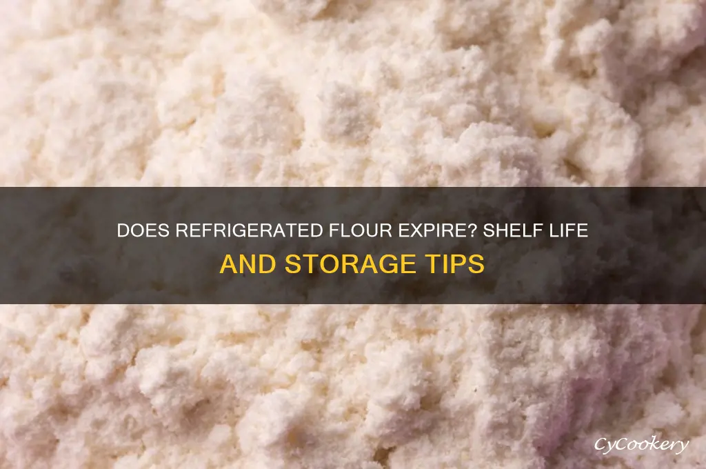 does flour go bad in the refrigerator