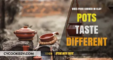 Clay Pot Cooking: A Unique Taste Experience