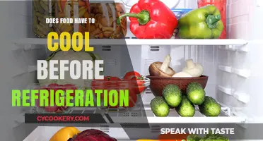 Cooling Food Before Refrigeration: Myth or Essential Practice?