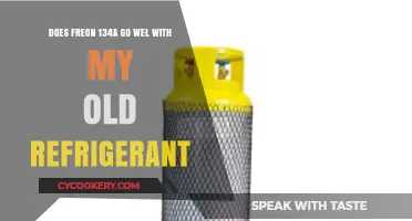 Can Freon 134a Safely Replace Your Old Refrigerant System?