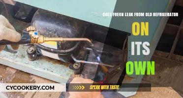 Can Old Refrigerators Leak Freon on Their Own? Find Out Here