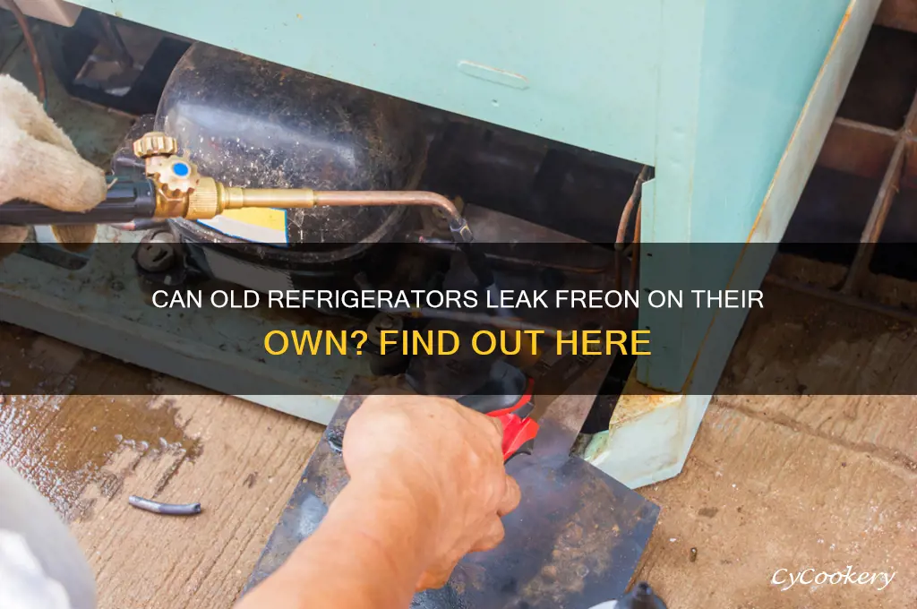 does freon leak from old refrigerator on its own