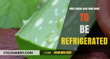 Should Fresh Aloe Vera Be Refrigerated? Storage Tips Revealed