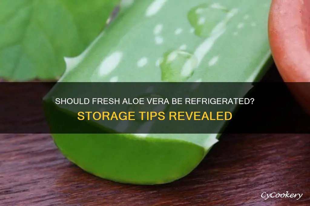 does fresh aloe vera have to be refrigerated