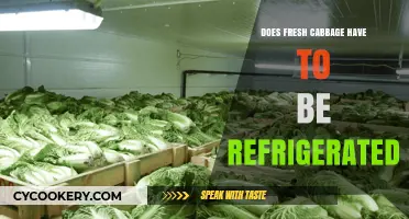 Should Fresh Cabbage Be Refrigerated? Storage Tips for Longer Freshness