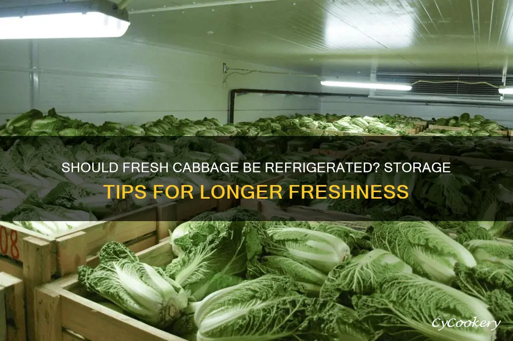 does fresh cabbage have to be refrigerated
