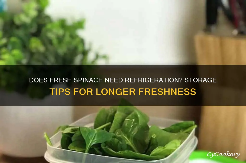 does fresh spinach have to be refrigerated