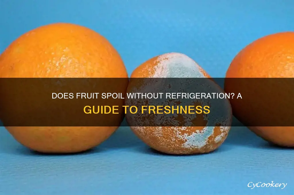 does fruit go bad if not refrigerated