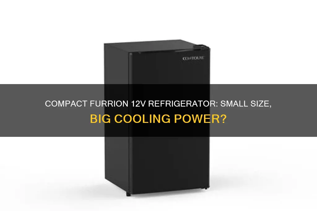 does furrion have small 12 volts refrigerator