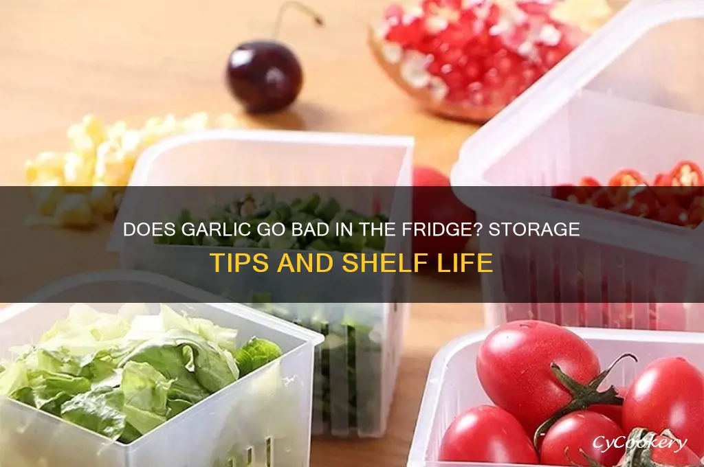 does garlic go bad in the refrigerator