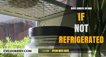 Does Ginger Go Bad Without Refrigeration? Storage Tips and Shelf Life