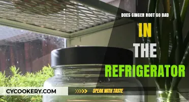 How Long Does Ginger Root Last in the Fridge?