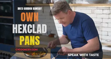 Gordon Ramsay's Hexclad Pans: The Truth Unveiled