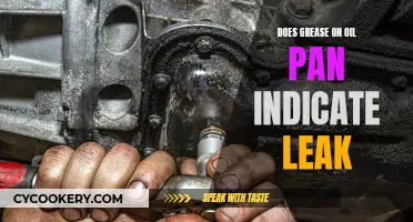 Oil Pan Grease: Leak or Not?