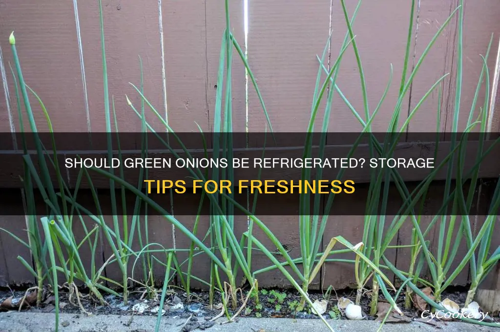 does green onion have to be refrigerated