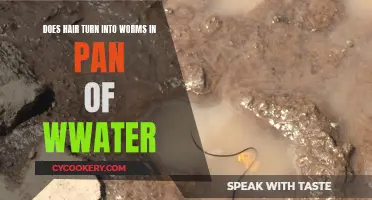 The Mystery of Hair, Water, and Worms