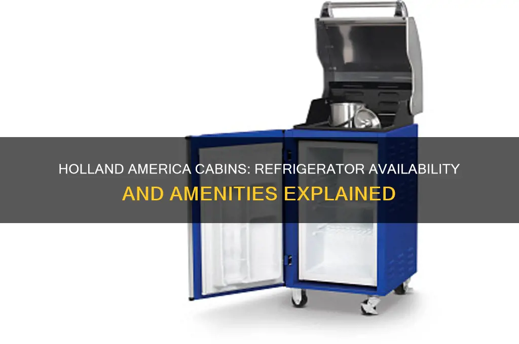 does holland america have refrigerator in cabins