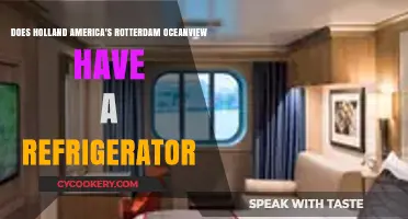 Holland America Rotterdam Oceanview: Refrigerator Amenities Explained