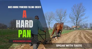 Horse-Powered Tilling: Hard Pan Problems?