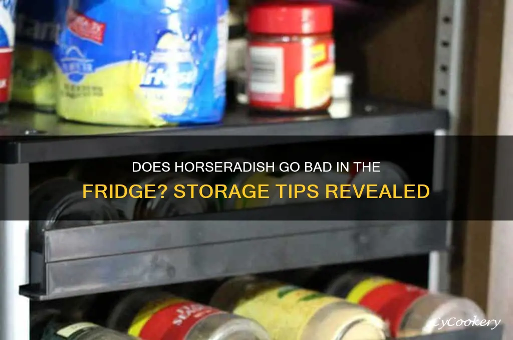 does horseradish go bad in the refrigerator