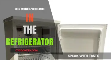Can Human Sperm Be Stored in the Fridge and Still Be Viable?