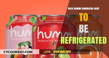Does Humm Kombucha Need Refrigeration? Storage Tips for Freshness
