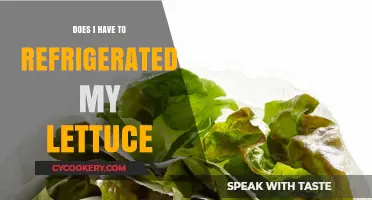 Should You Refrigerate Lettuce? Storage Tips for Freshness and Crunch