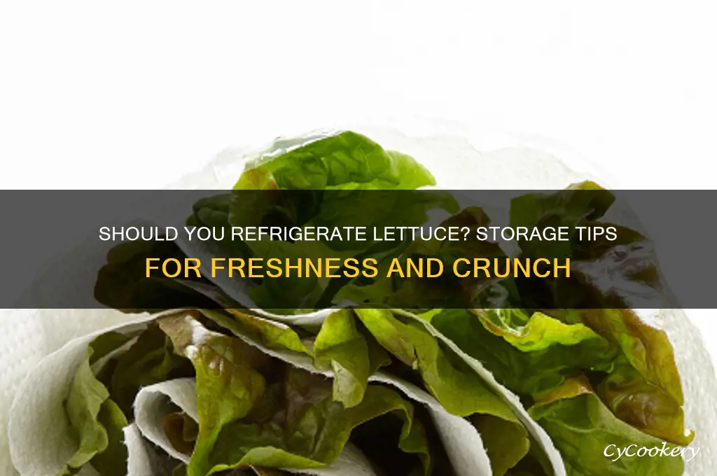 does i have to refrigerated my lettuce
