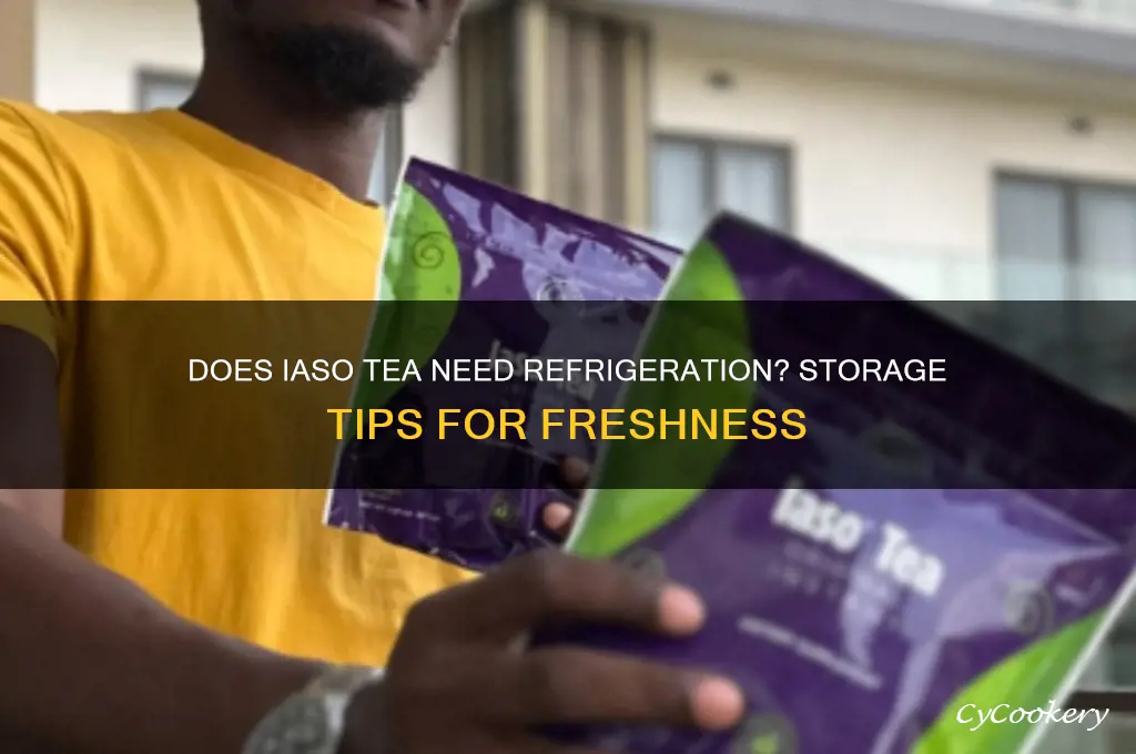 does iaso tea have to be refrigerated