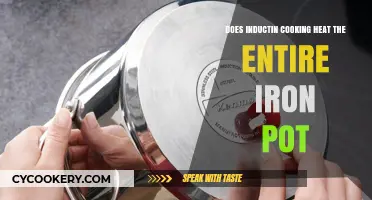 Induction Cooking: Do Iron Pots Heat Up?