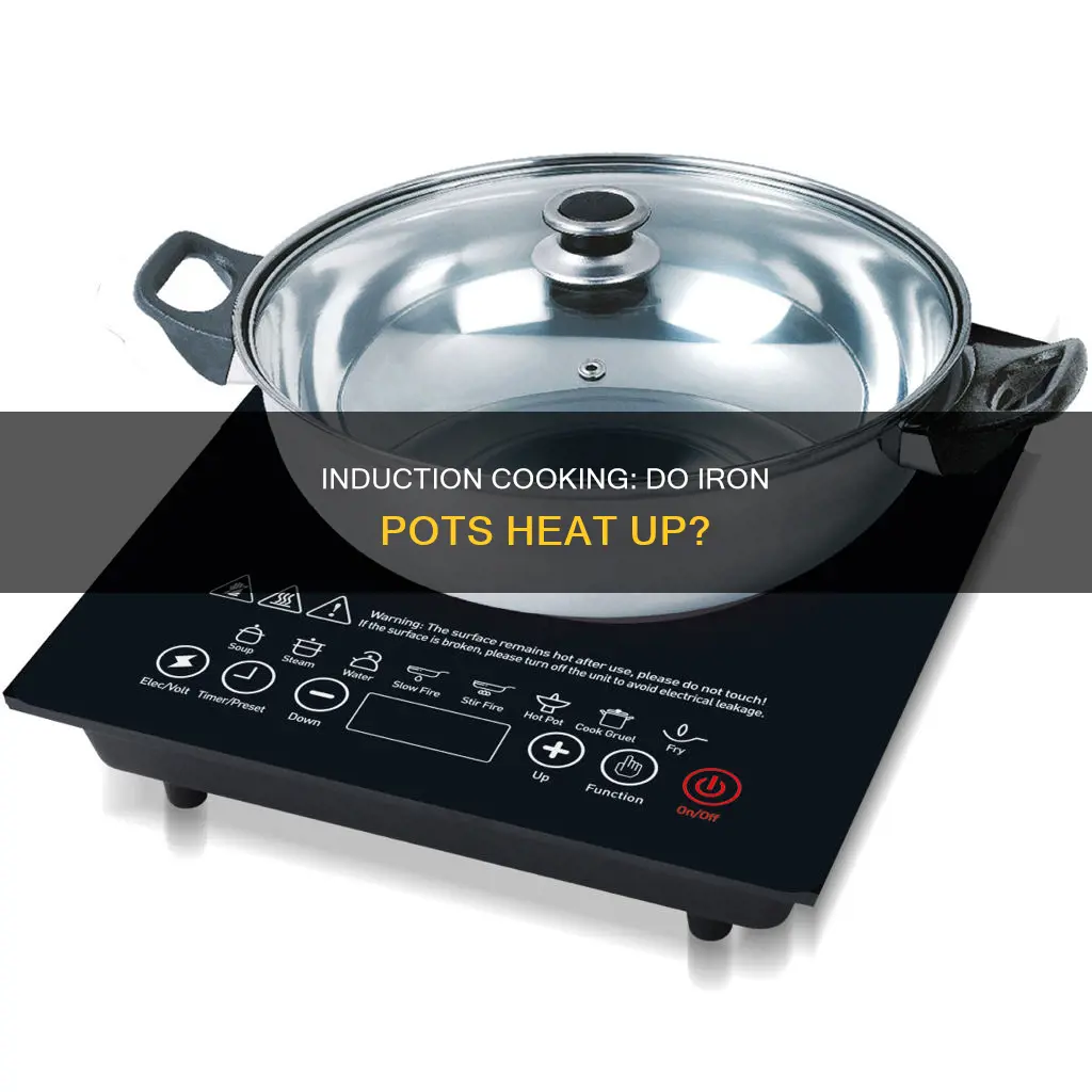 does inductin cooking heat the entire iron pot