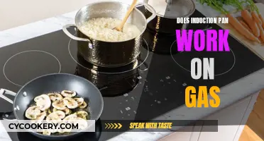 Induction Pans: Compatible with Gas Stovetops?